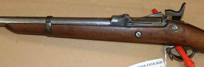 Carabina Springfield Modello 1884 Calibro .450