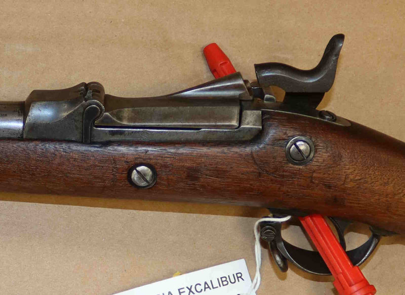 Carabina Springfield Modello 1884 Calibro .450