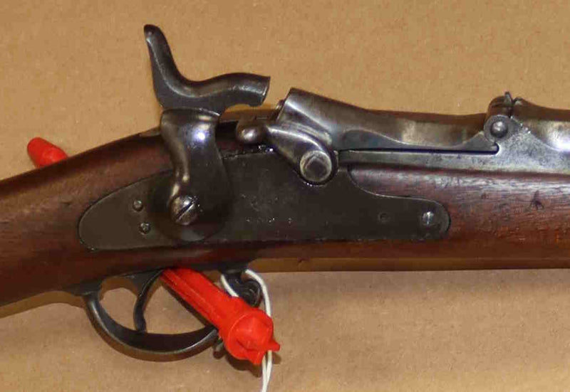 Carabina Springfield Modello 1884 Calibro .450