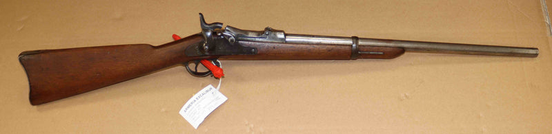 Carabina Springfield Modello 1884 Calibro .450