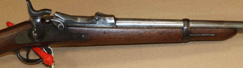 Carabina Springfield Modello 1884 Calibro .450