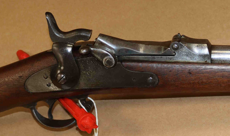 Carabina Springfield Modello 1884 Calibro .450