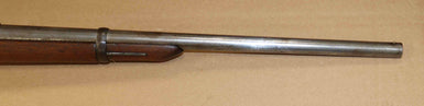 Carabina Springfield Modello 1884 Calibro .450