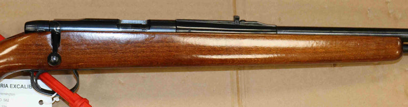 Carabina Remington Modello 582 Calibro 22LR