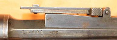 Fucile Steyr Modello 1886 Calibro 8 MM